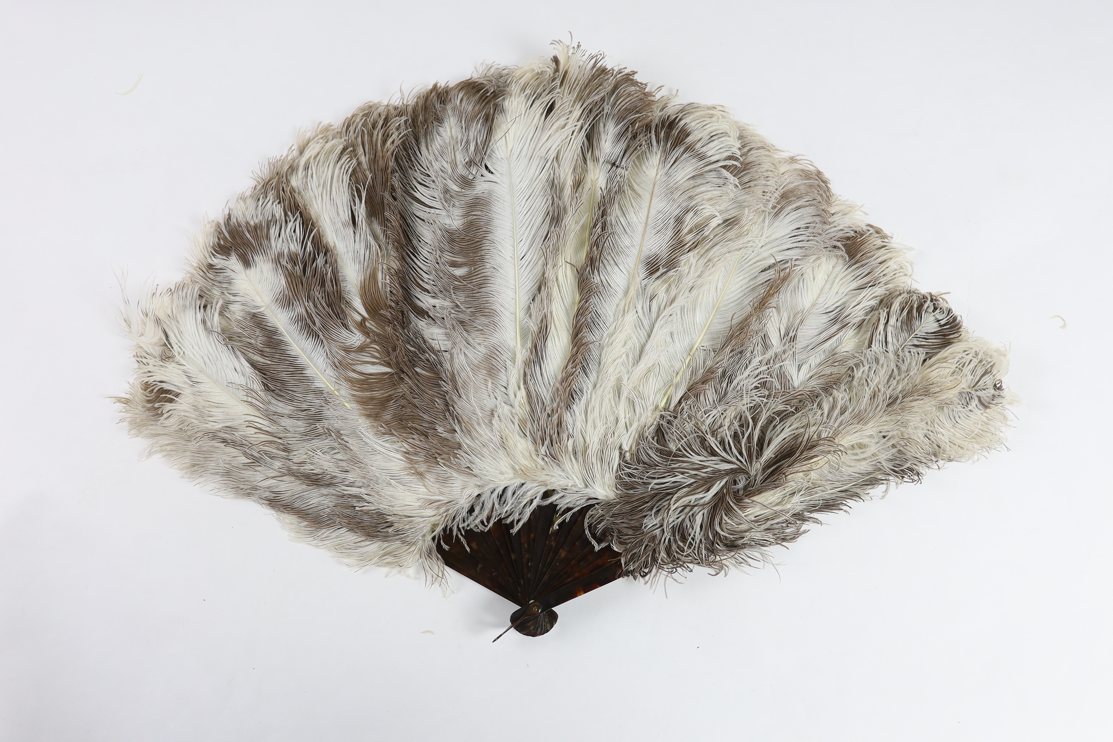 Two early 20th century brown and cream Ostrich feather fans, with tortoiseshell guards, one large fan, the other smaller